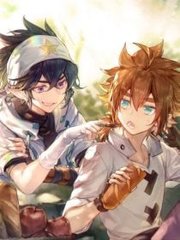 红杏hx1cc入口